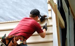 Best Vinyl Siding Installation  in Lamont, MI